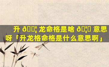 升 🐦 龙命格是啥 🦋 意思呀「升龙格命格是什么意思啊」